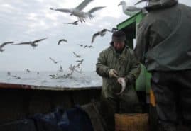 "Last season", dir. Sławomir Witek