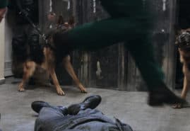 THE PACK, dir. 