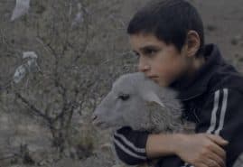 „MILKY BROTHER” AWARDED AT THE FESTIVAL DELLA LESSINIA