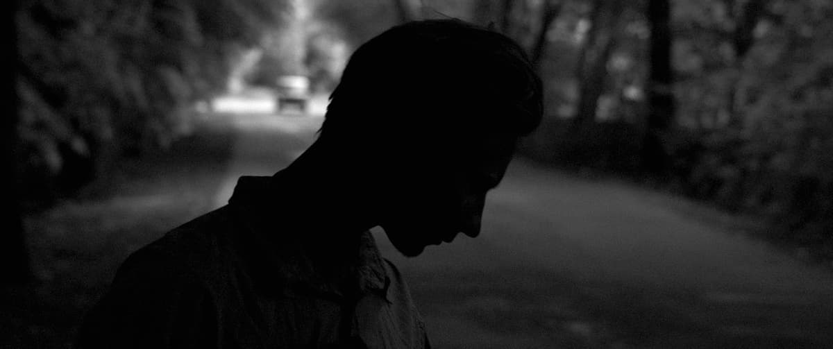 THE AFTERIMAGE