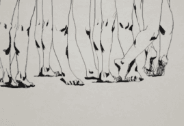 POLISH ANIMATED FILMS AWARDED AT THE FESTIVAL ETIUDA & ANIMA