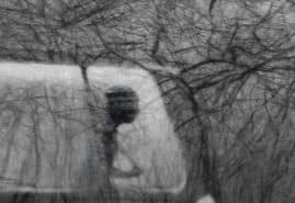 "Fugue for cello, trumpet and a lanscape" dir. Jerzy Kucia