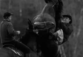 „HORSE RIDERS” AWARDED AT THE WINTER APRICOTS