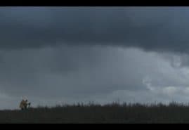 "To fly or not to fly", dir. Aniela Gabryel<br />