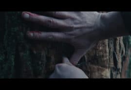 „ADAPTATION” WINS AGAIN