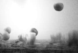 &nbsp;&nbsp;"Fugue for cello, trumpet and a landscape" dir. Jerzy Kucia&nbsp;