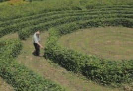 "Penderecki: paths through the labyrinth", dir. Anna Schmidt<br />