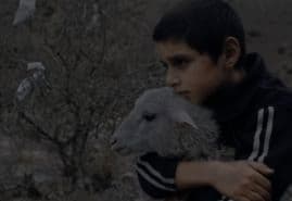 „MILKY BROTHER” WINS THE GRAND PRIX AT THE FESTIVAL IN ANGERS