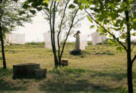 A FLOWER OF ONE NIGHT, dir. 