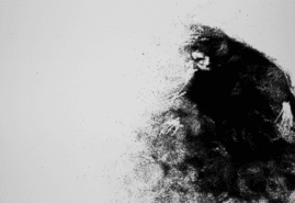 <strong>"Traces of ephemeral" dir. </strong><strong>Agnieszka Waszczeniuk</strong><br />