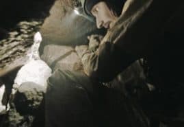 &nbsp;