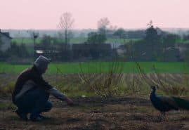 THE CULTURE CULTIVATOR, dir. 