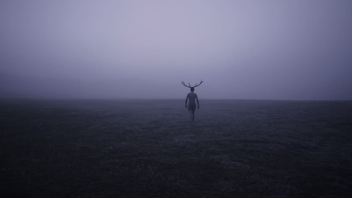 DEER BOY