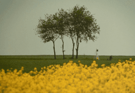 POLISH SHORTS AT INTERNATIONAL FESTIVALS – 2022 IN REVIEW