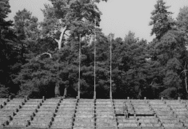&nbsp;"Tramway", dir. Bartosz Reetz