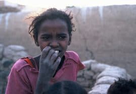 ABU HARAZ, reż. 