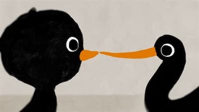 RAJSKIE PTAKI | reż. Tomek Ducki