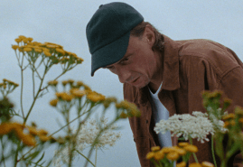 POLISH SHORTS AT INTERNATIONAL FESTIVALS IN AUGUST