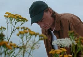 A BEAUTIFUL WILDFLOWER MEADOW, dir. 