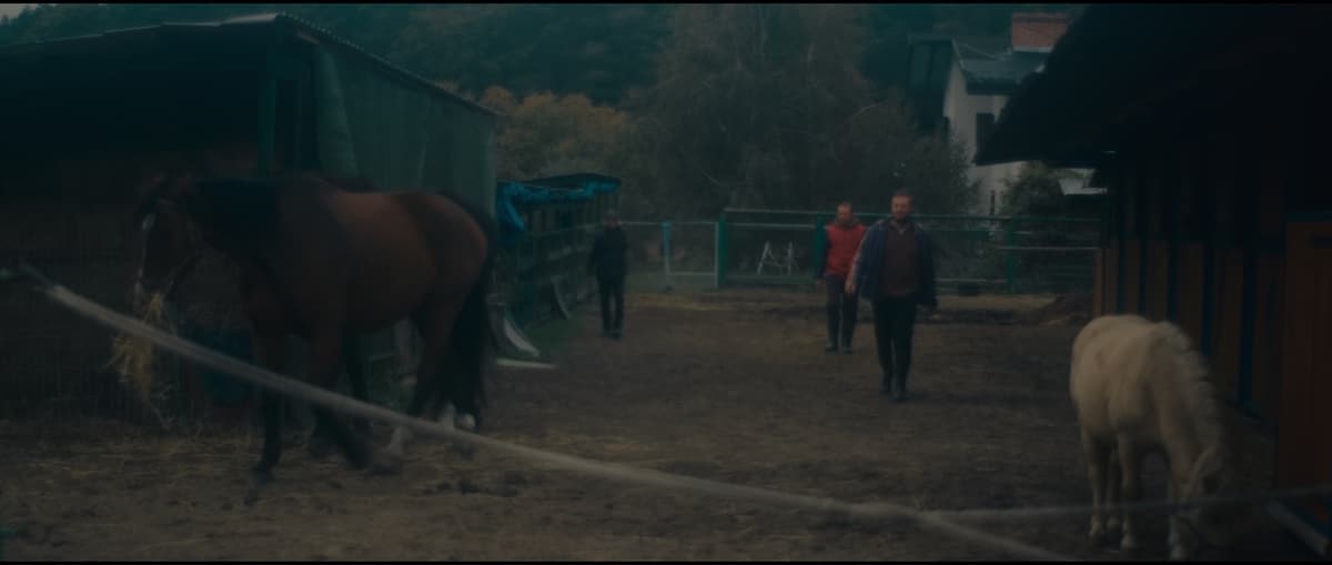 THE FENCE