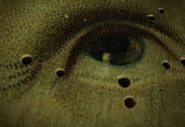 JULIA PEŁKA’S “WOODEATERS” SELECTED FOR THE COMPETITION OF OFF – ODENSE INTERNATIONAL FILM FESTIVAL